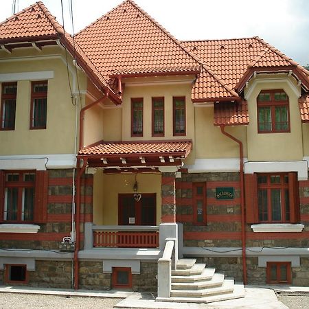 سِنايا Pensiunea Micsunica المظهر الخارجي الصورة