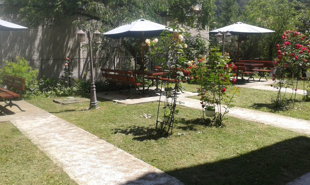 سِنايا Pensiunea Micsunica المظهر الخارجي الصورة