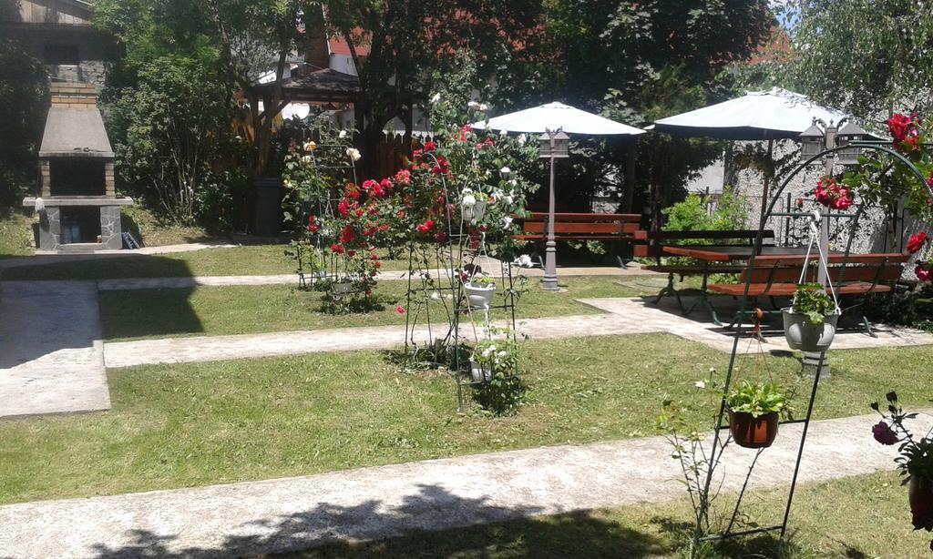سِنايا Pensiunea Micsunica المظهر الخارجي الصورة